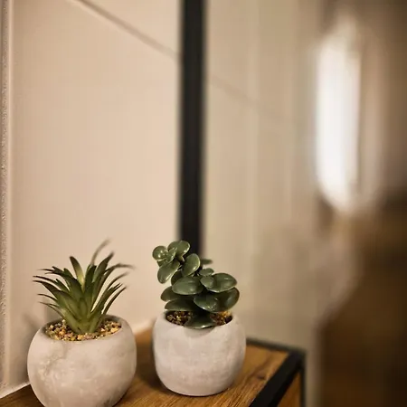 Apartment Nuwilu Three - Designapartment Im Herzen Erfurts - Magenta Tv- Netflix - Erfurt